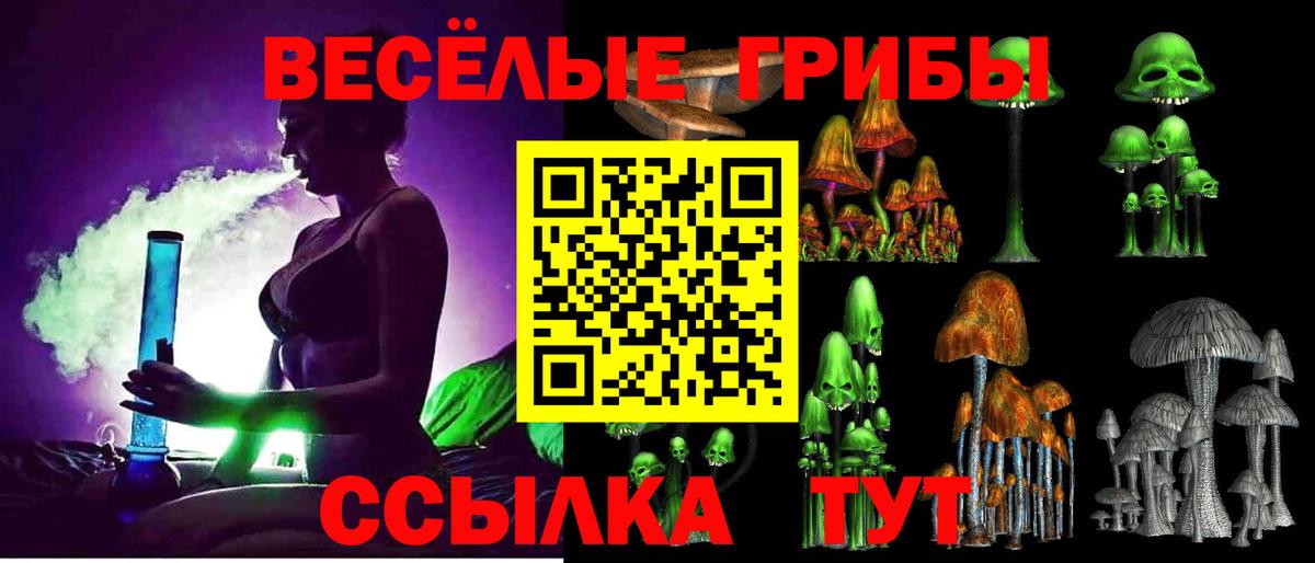 Галлюциногенные грибы MAGIC MUSHROOMS Касимов